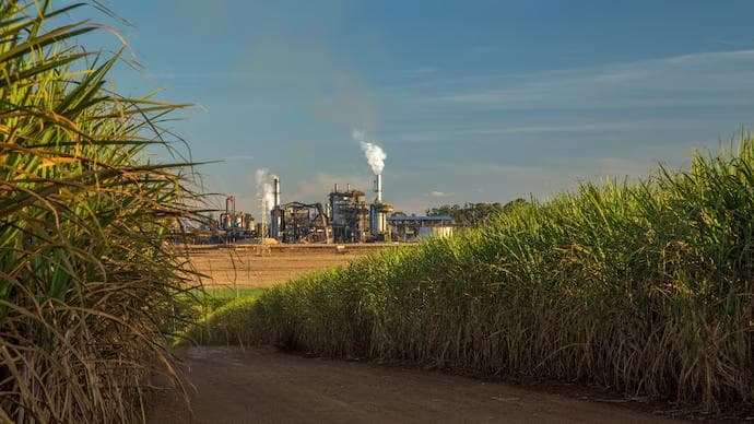 Godzilla El Nino to hit sugarcane fields: Could it derail India's ethanol dreams?
