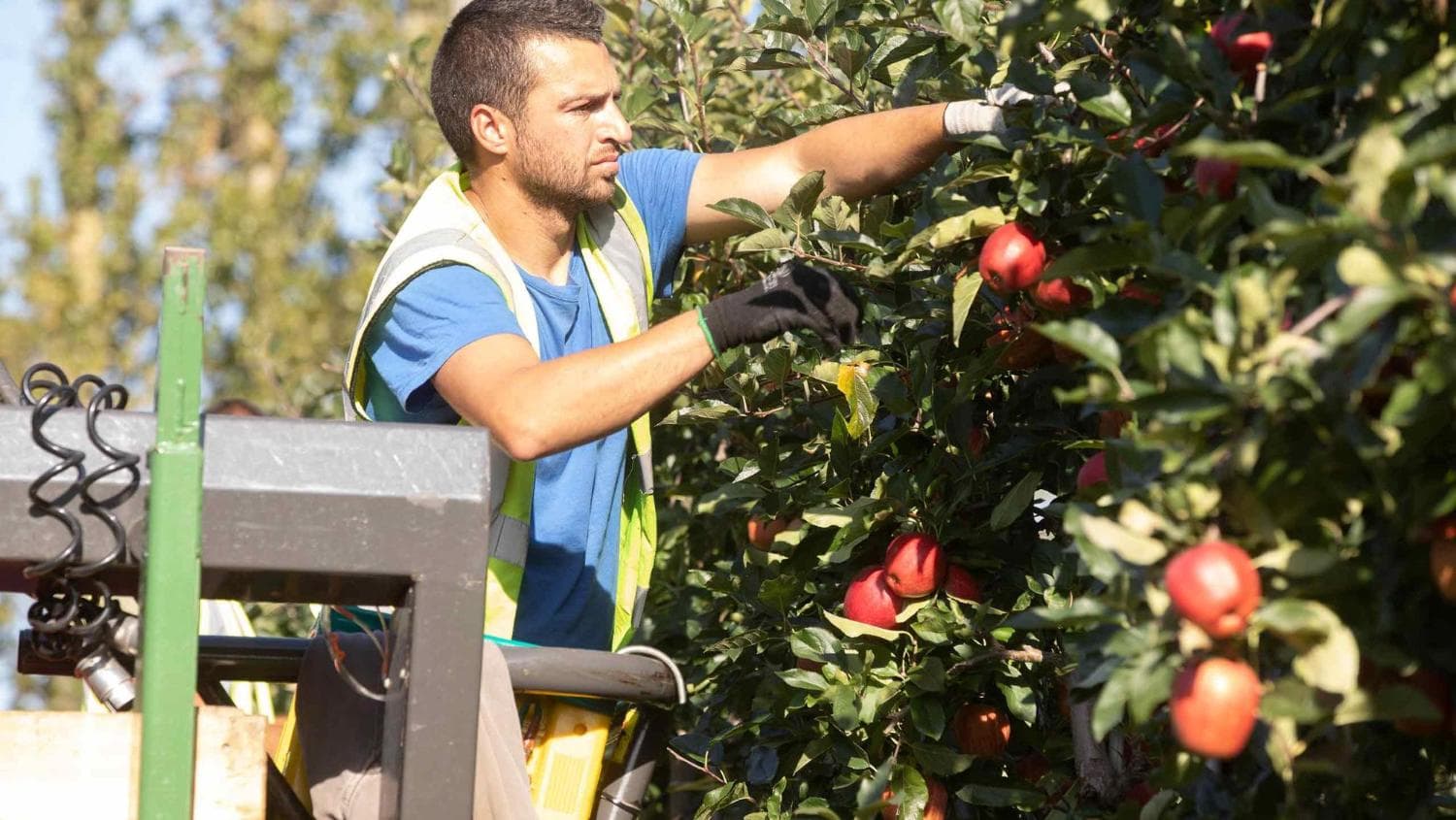 Fairness for Farmworkers bill remains in limbo